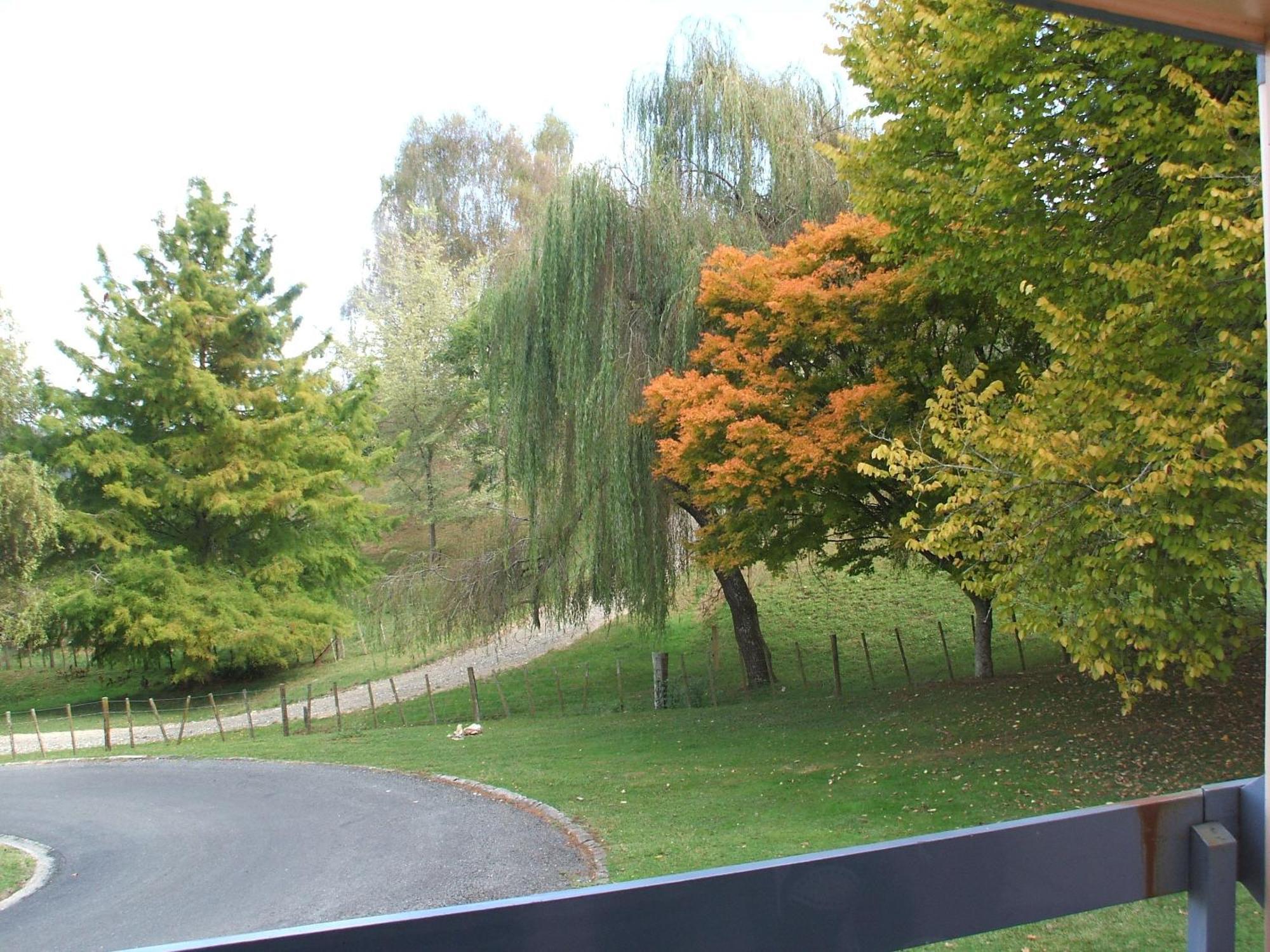 Caves Motor Inn Te Kuiti Extérieur photo
